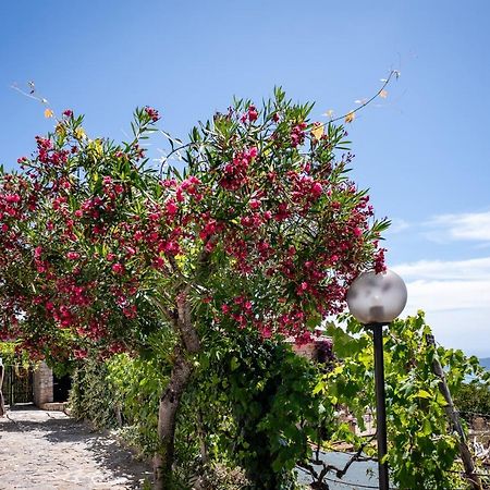 Villa Casa Aniello Caprioli Esterno foto